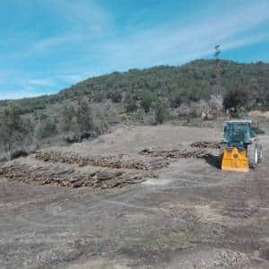 Troncos apilados en el apartadero listos para su transporte como leña