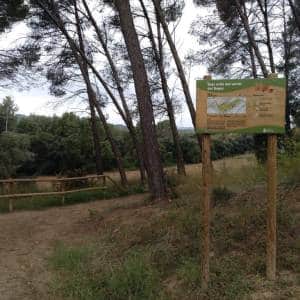Cartel indicador de madera en una entrada de pista forestal