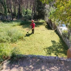 Terreno limpio de maleza y arbustos tras un desbroce completo