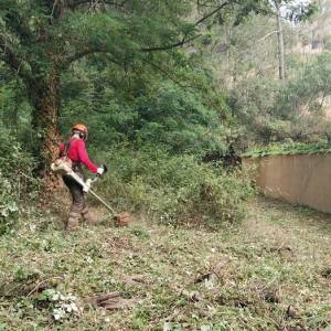 Parcela rústica antes y después de los trabajos de limpieza forestal