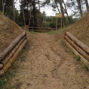 Barrera de acceso construida con troncos de pino naturales