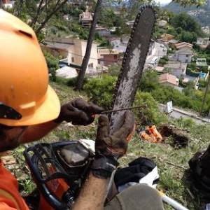 Operario afilando los dientes de la cadena de una motosierra con lima