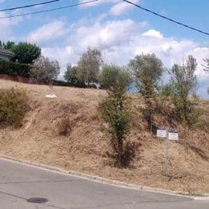 Ejemplo de finca con árboles espaciados y suelo libre de matorral seco
