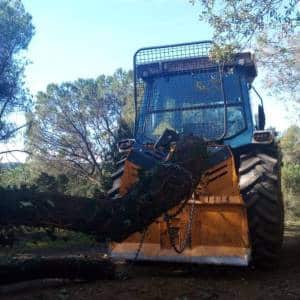 Arrastre y saca de madera mediante cabrestante forestal