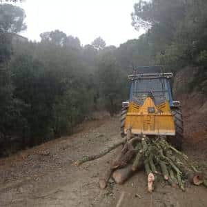 Trabajos reales certificados de desbroce y prevención en Cataluña