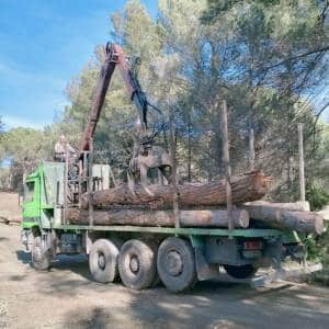 Trabajos reales certificados de desbroce y prevención en Cataluña