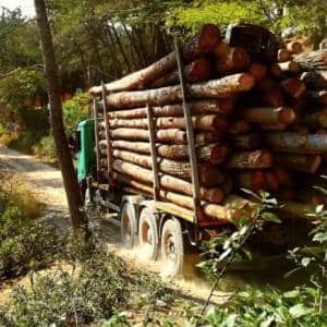 Trabajos reales certificados de desbroce y prevención en Cataluña