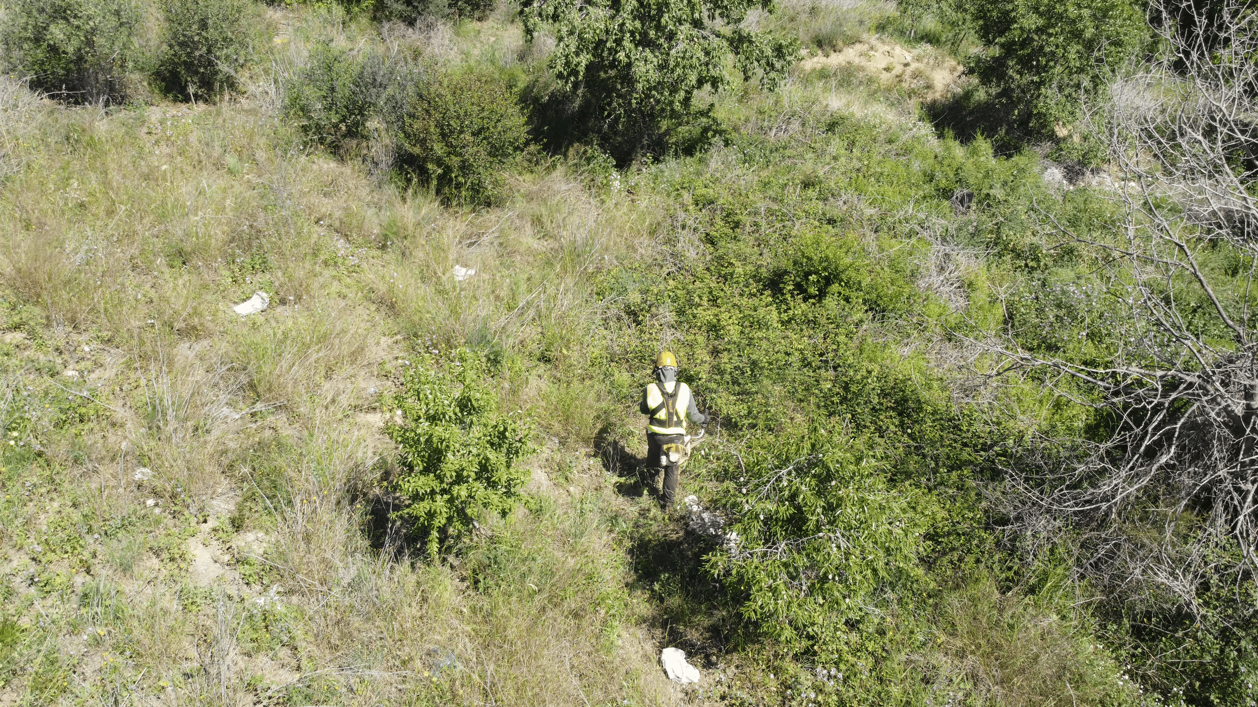 Secuencia de trabajos de desbroce con trituradora forestal pesada