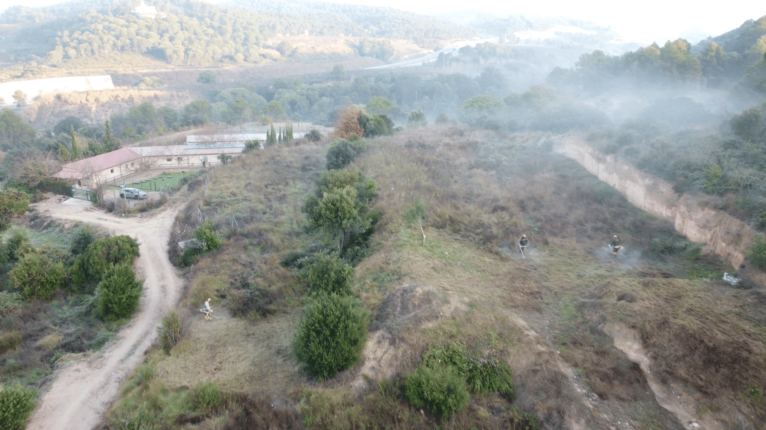 Gestión técnica y aprovechamientos forestales en fincas privadas