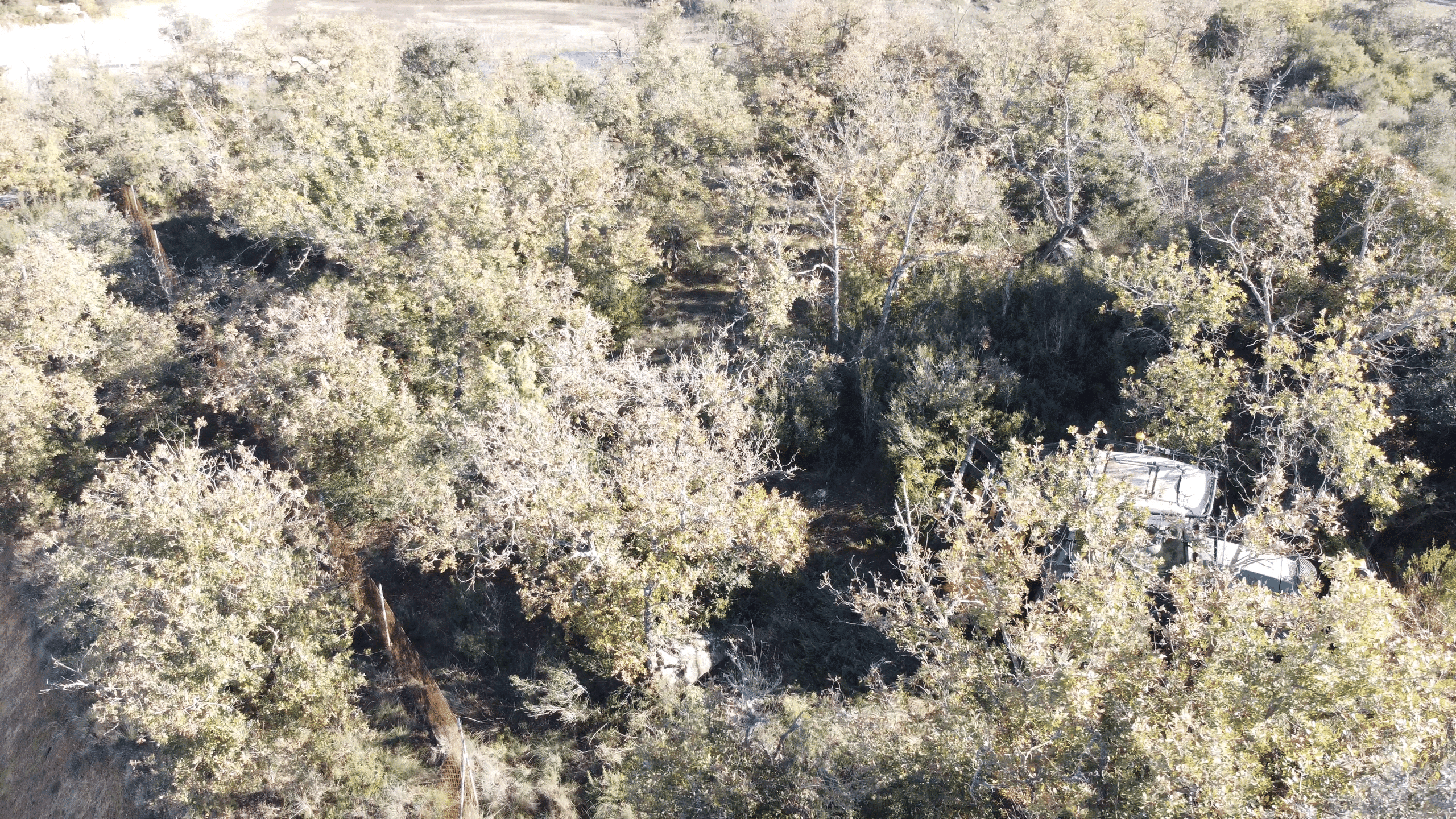 Creación de franjas de protección para la prevención de incendios