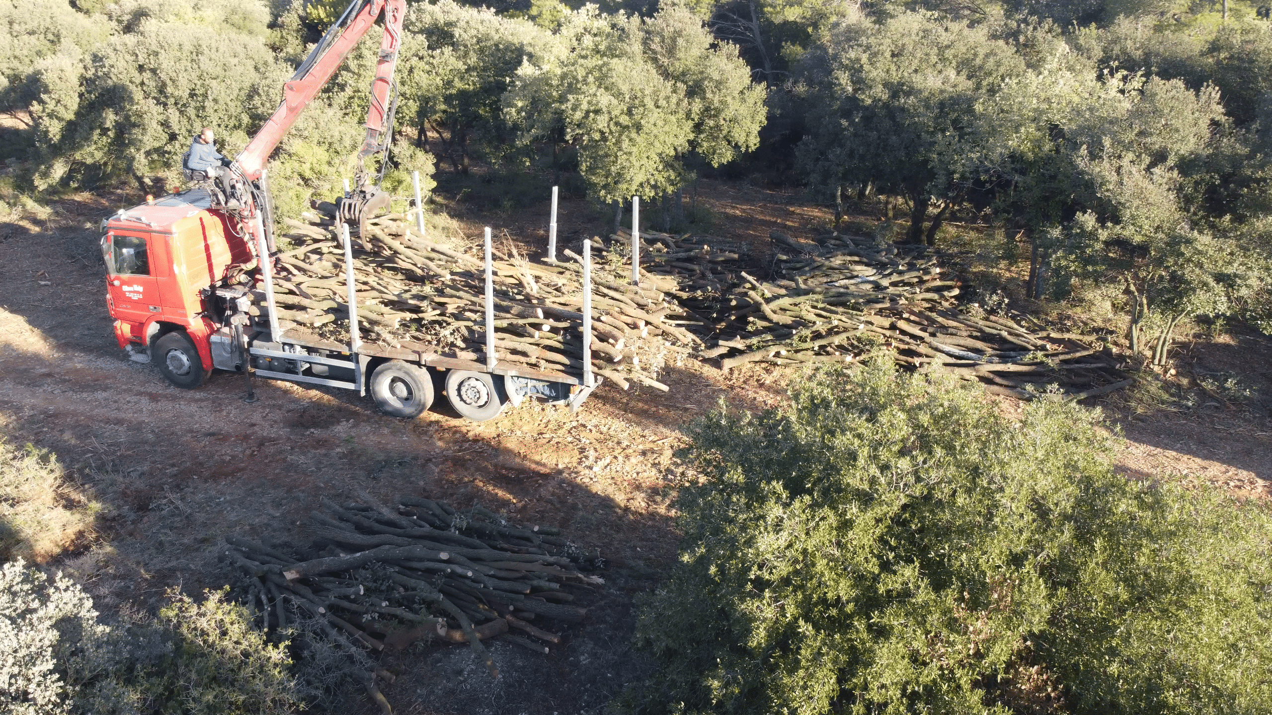 Camión pulpo recogiendo y transportando restos de poda y troncos vegetales