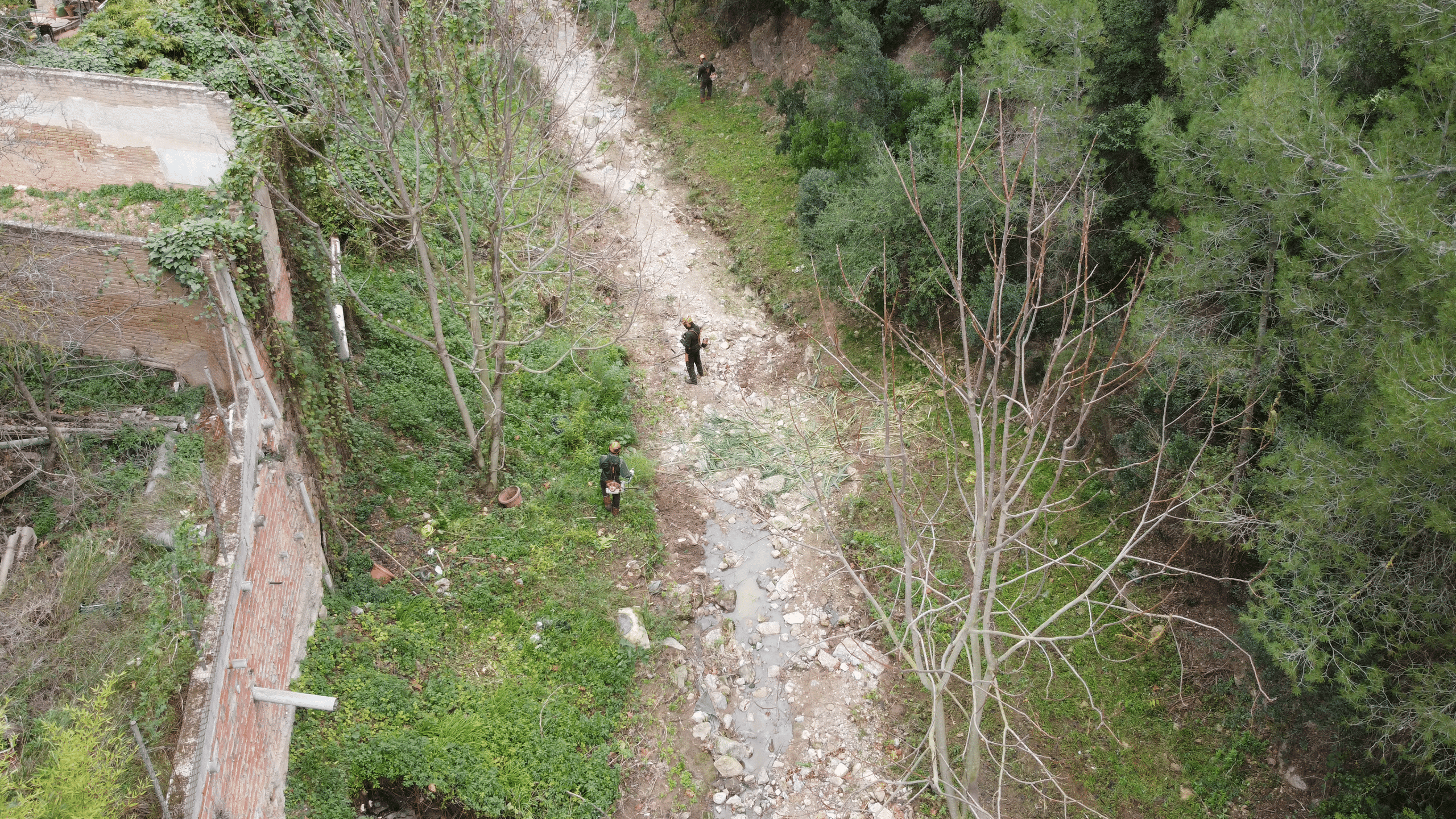 Limpieza y restauración ecológica de lechos de rieras y barrancos